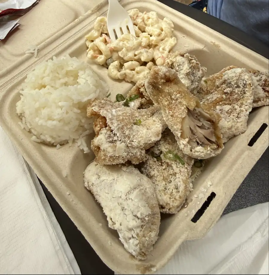 Crispy chicken plate with rice